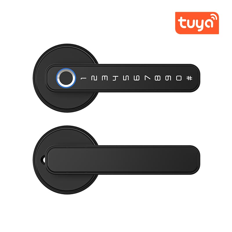 WiFi Smart Door Lock